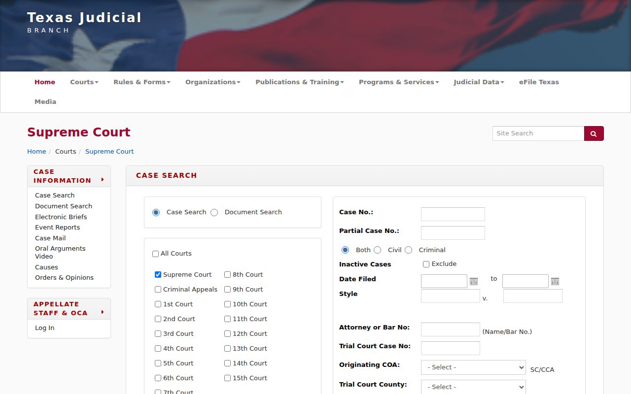 Marion County civil docket TAMES appellate case search